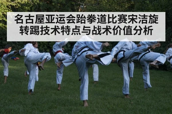 名古屋亚运会跆拳道比赛宋洁旋转踢技术特点与战术价值分析