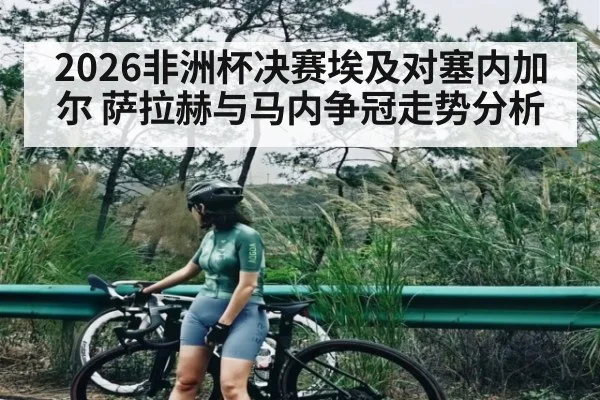 2026非洲杯决赛埃及对塞内加尔 萨拉赫与马内争冠走势分析